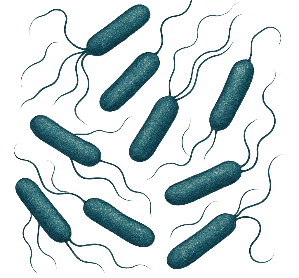 Hydrating Fluid   - 2.0 ml